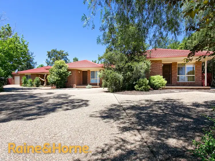 1,2,& 3/41 Kenneally Street, Kooringal NSW 2650