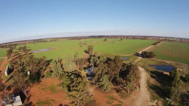 Second view of Homely rural property listing, * Thanowring Road, Temora NSW 2666