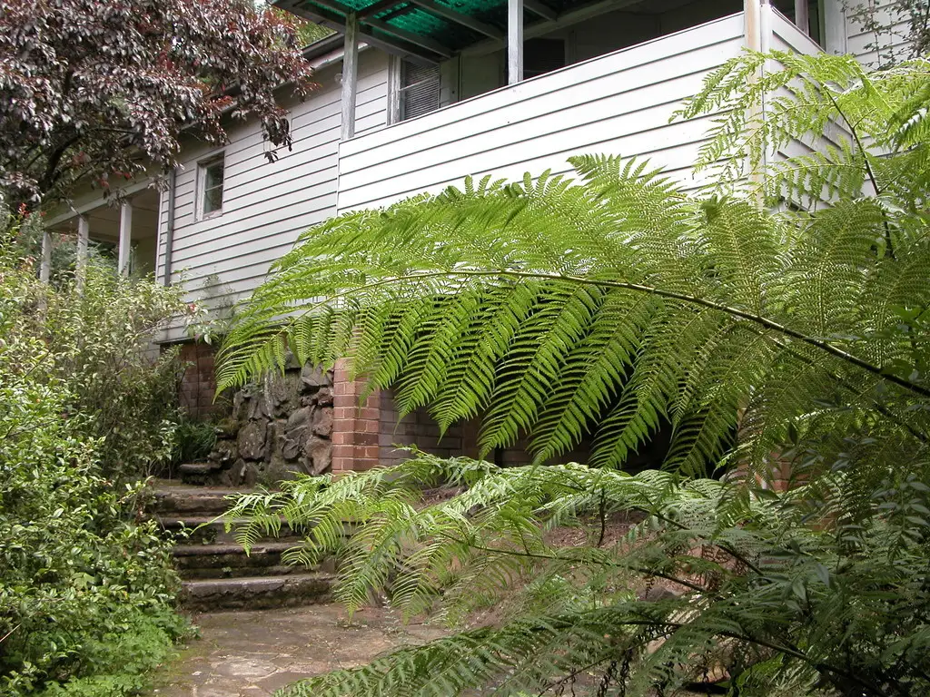 Main view of Homely house listing, 120 Great Western Highway, Wentworth Falls NSW 2782