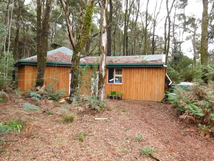 Main view of Homely rural property listing, 61 Masons Road, Milabena TAS 7325