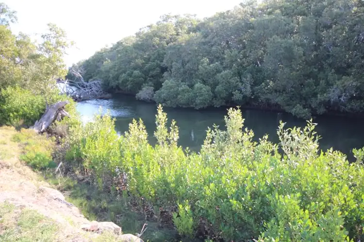 Fourth view of Homely rural property listing, 15 Old Bridge Road, Jones Island NSW 2430