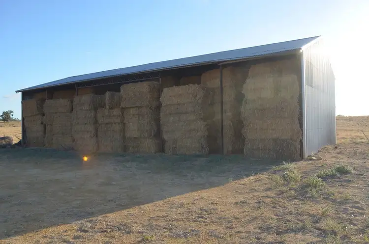 Third view of Homely rural property listing, 1451 Broadview Road, Padthaway SA 5271