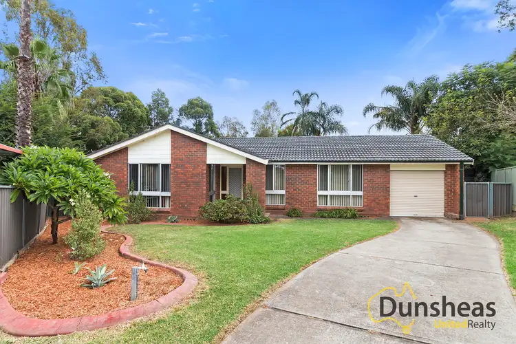 51 Randall Avenue, Minto NSW 2566