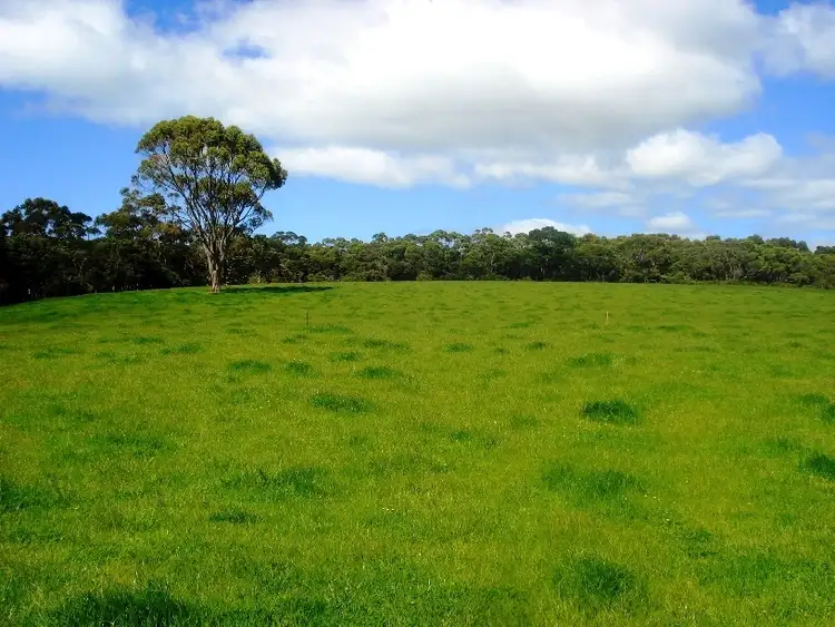 Seventh view of Homely rural property listing, 2438 Fraser Road, Pegarah, King Island TAS 7256