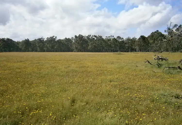 Seventh view of Homely rural property listing, 157 Boyanup West Road, Stratham WA 6237