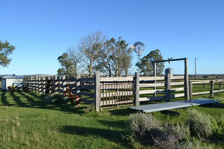 Seventh view of Homely land listing, 1731 Old Rosevale Road, Jandowae QLD 4410