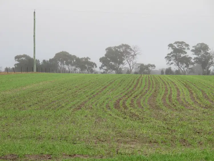 Sixth view of Homely land listing, 112 Lawsons Road, Dimboola VIC 3414