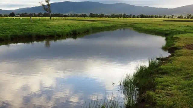 Seventh view of Homely rural property listing, "Moorabool" New England Highway, Scone NSW 2337