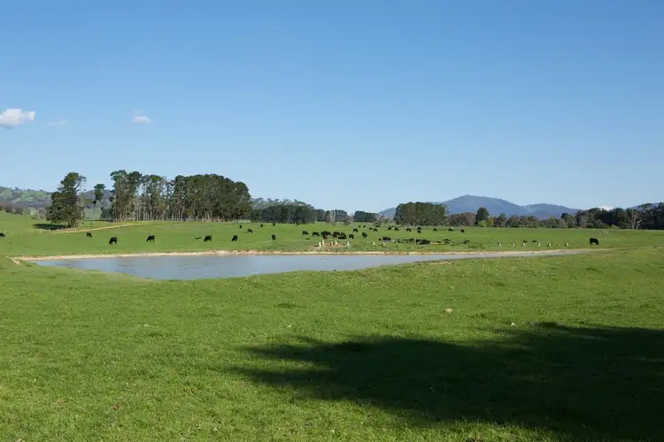 - Murrindindi Road, Murrindindi VIC 3717