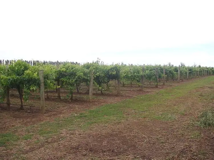 Fifth view of Homely rural property listing, Lot 200 Riddoch Highway, Coonawarra SA 5263