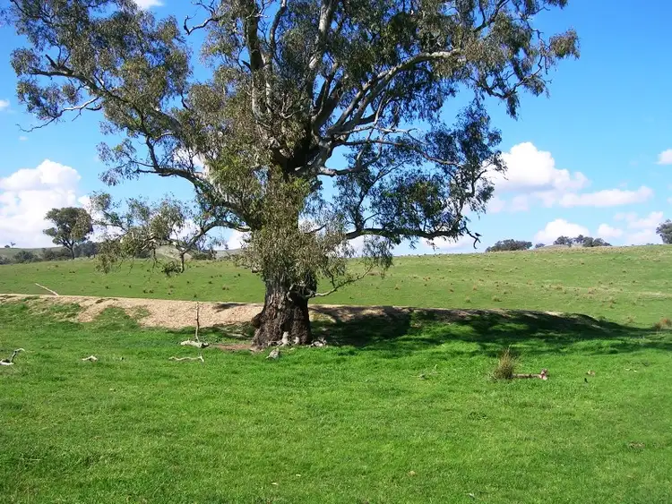 Third view of Homely rural property listing, Part of 301 Spring Creek Rd, Alexandra VIC 3714