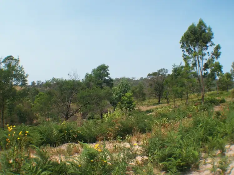 Seventh view of Homely land listing, 1501 Myrtle Mtn Rd, Candelo NSW 2550