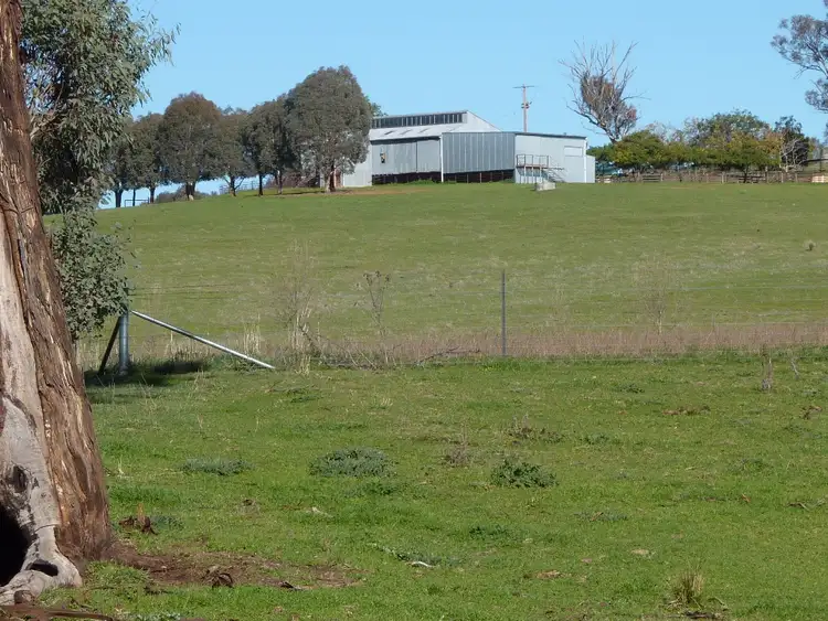 Fifth view of Homely rural property listing, 146 Pulletop Poad, Wagga Wagga NSW 2650