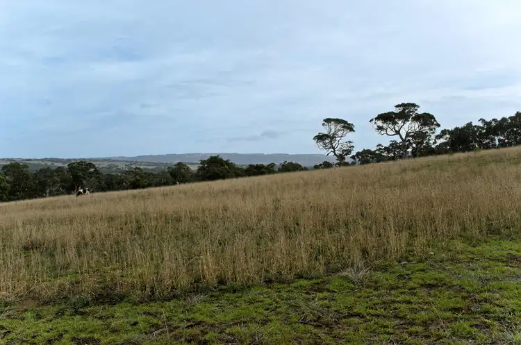 Sixth view of Homely rural property listing, Lot 298 Nangawooka Track, Hindmarsh Valley SA 5211