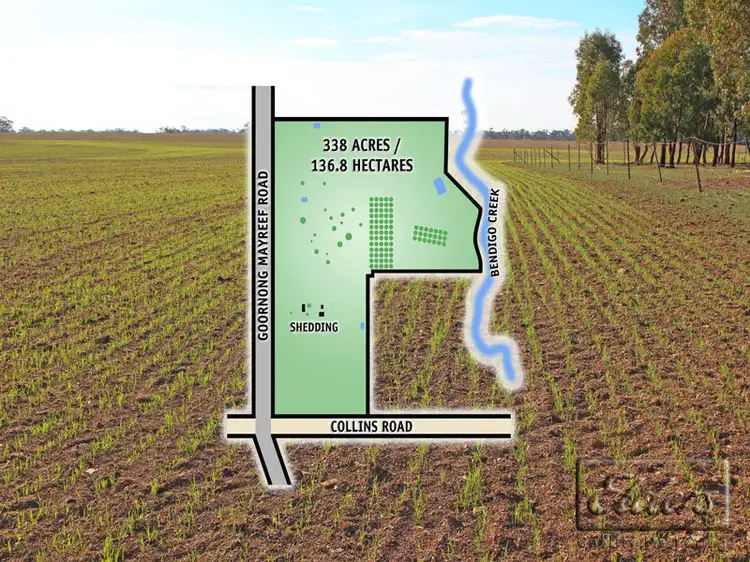 Main view of Homely rural property listing, Corner Collins Road and Goornong-Mayreef Road, Goornong VIC 3557