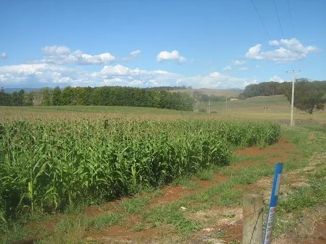 Sixth view of Homely rural property listing, - Oppenheims Road, Moriarty TAS 7307