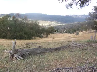 Fourth view of Homely rural property listing, 00 Foggs Crossing, Bigga NSW 2583