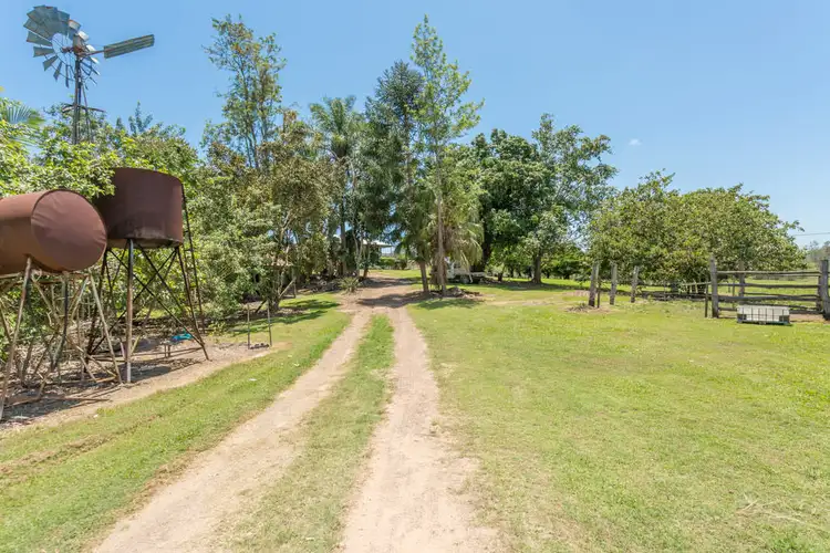 Main view of Homely rural property listing, 168 Sams Road, Dows Creek QLD 4754