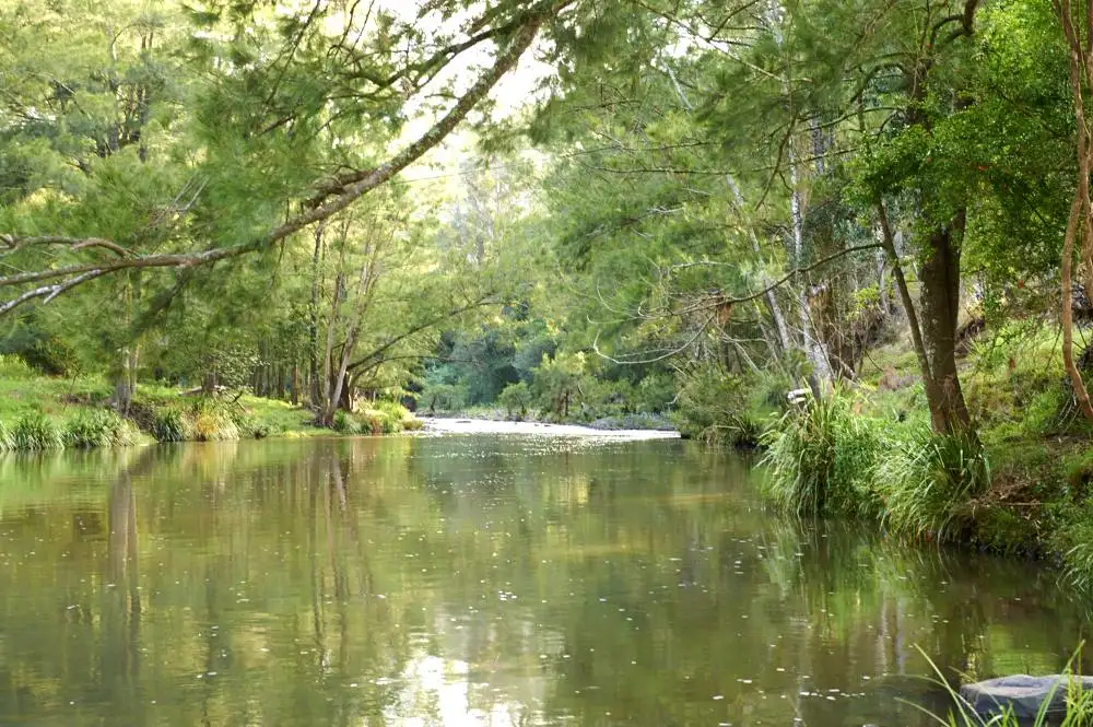 Main view of Homely rural property listing, 1962 Allyn River Road, Gresford NSW 2311