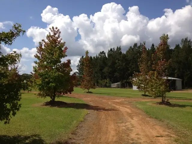 Seventh view of Homely house listing, 376 Omega Drive, Kungala NSW 2460