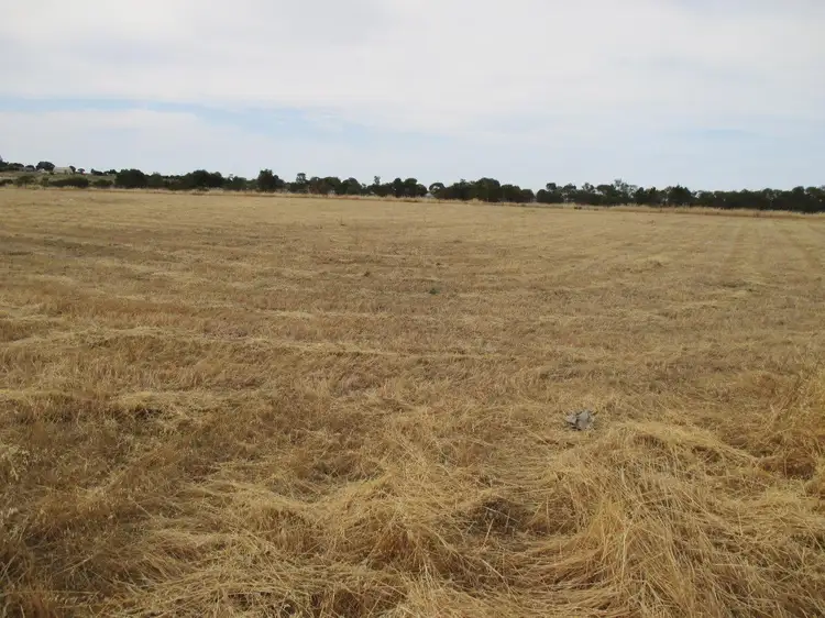 Fifth view of Homely land listing, Lot 31 Big Olive Grove, Tailem Bend SA 5260