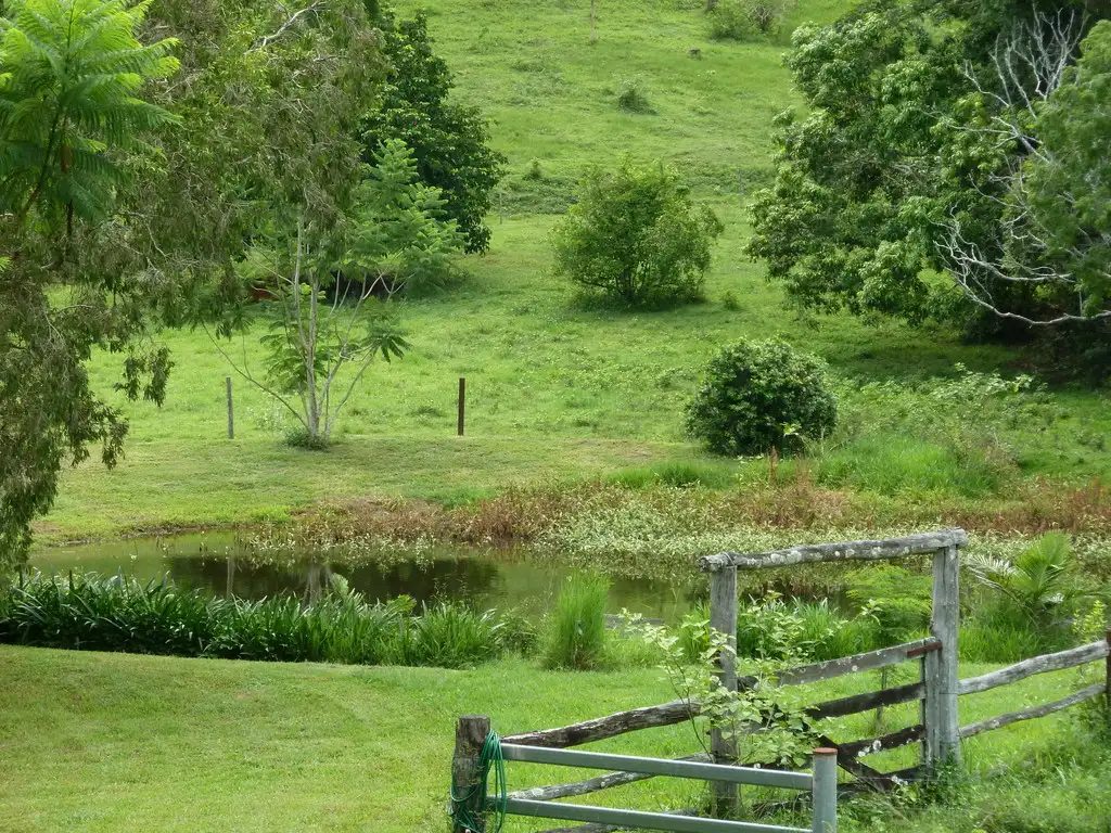 Main view of Homely house listing, Mt Martin Loop Road, Mount Martin QLD 4754