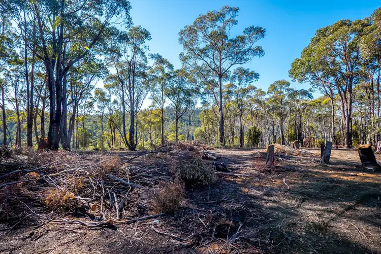 Seventh view of Homely land listing, 373a Church Road, Dromedary TAS 7030