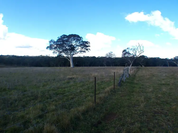 Seventh view of Homely rural property listing, 682 Nowra Road, Moss Vale NSW 2577