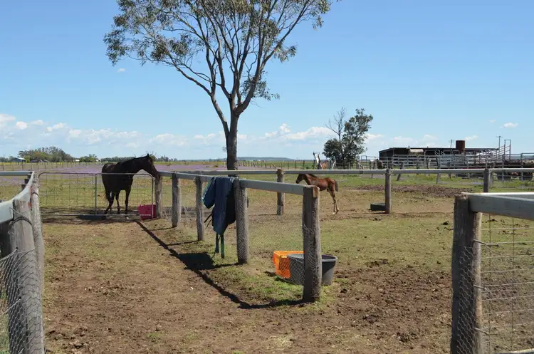 Fifth view of Homely rural property listing, 90 Devon Park Road, Oakey QLD 4401
