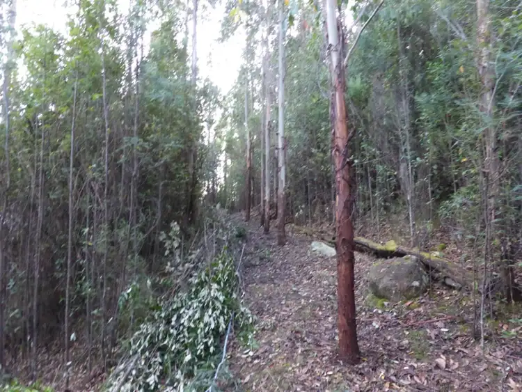 Sixth view of Homely land listing, 00 Abbotts Road, Maydena TAS 7140