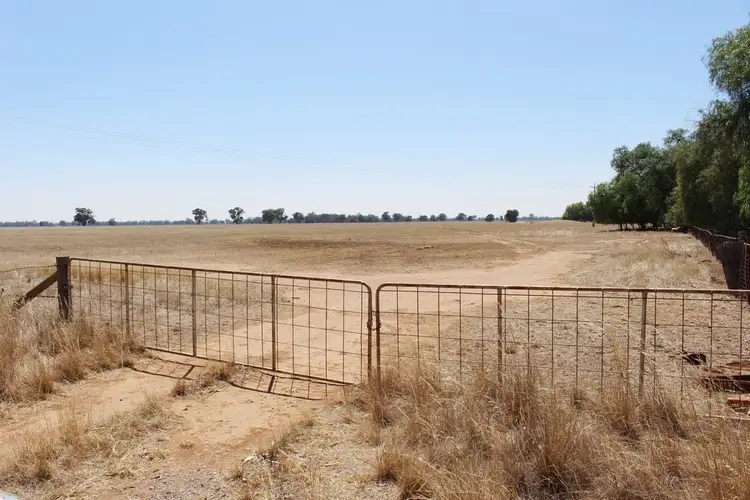 Third view of Homely rural property listing, 458 McCurdies Lane, Savernake NSW 2646