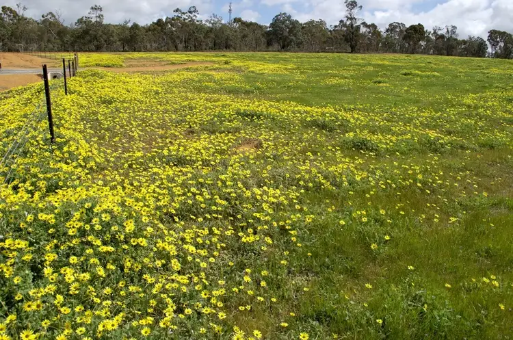 Fourth view of Homely land listing, Lot 413 Woylie Rise, Bakers Hill WA 6562