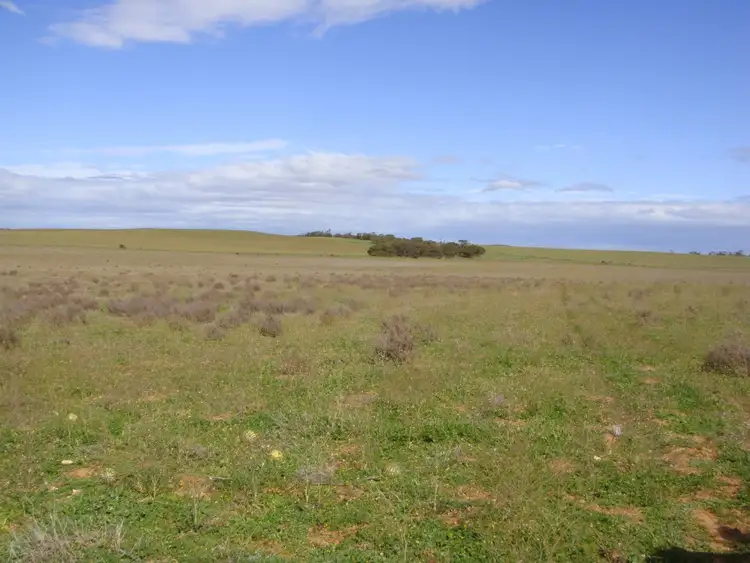 Sixth view of Homely rural property listing, 49 and 51 Tori Hills Road, Karoonda SA 5307