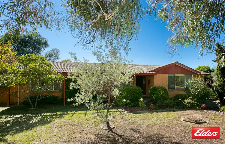 Main view of Homely house listing, 9 Templeton Street, Cook ACT 2614