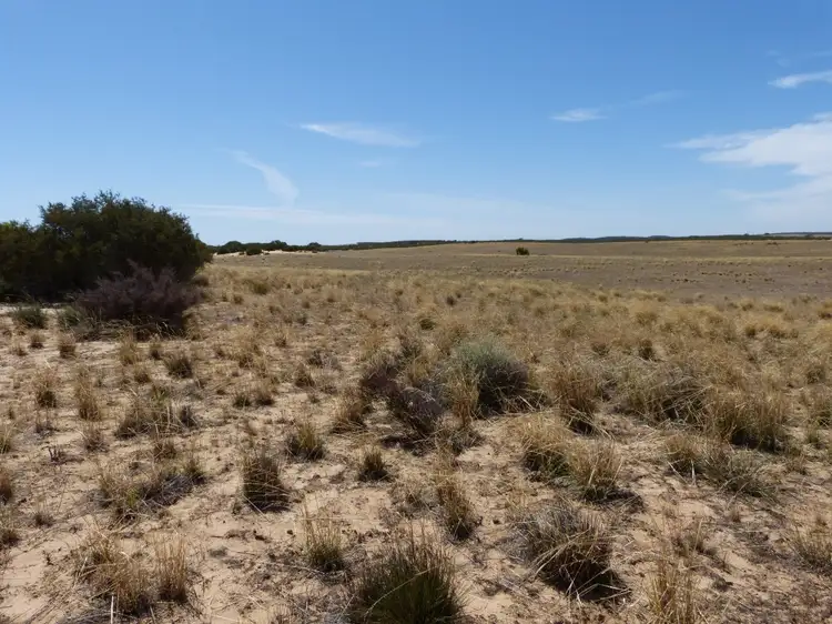 Fourth view of Homely rural property listing, 245 Mallee Hills Road, Lameroo SA 5302