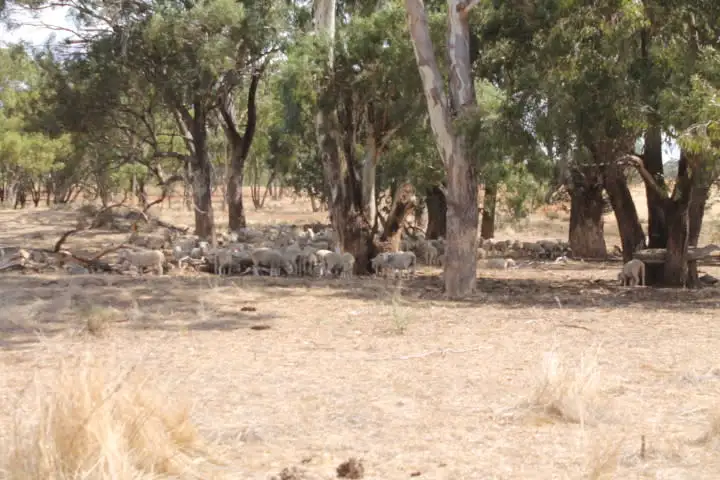 Second view of Homely rural property listing, Address available on request