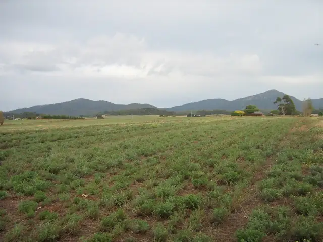 Main view of Homely rural property listing, 403 Preston Road, North Motton TAS 7315