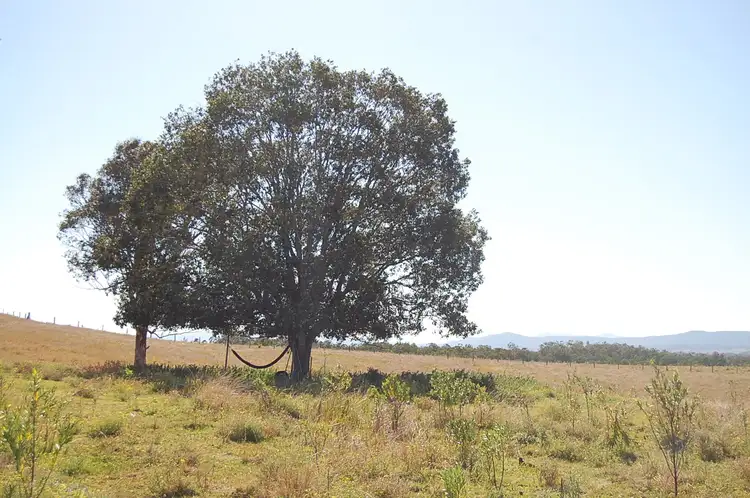 Fifth view of Homely rural property listing, 1130 Dyraaba Road, Dyraaba NSW 2470