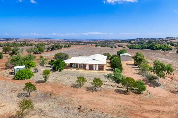 Main view of Homely house listing, 42 Grey Street, Northampton WA 6535