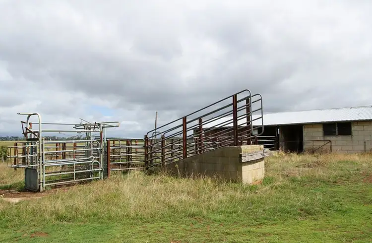 Main view of Homely rural property listing, 1056 Lavers Hill - Cobden Road, Jancourt East VIC 3266