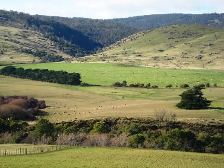 Third view of Homely rural property listing, 1014 Glen Esk Road, Conara TAS 7211