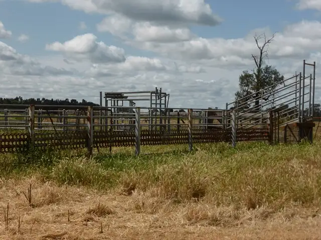Seventh view of Homely rural property listing, | Kweong |, Finley NSW 2713