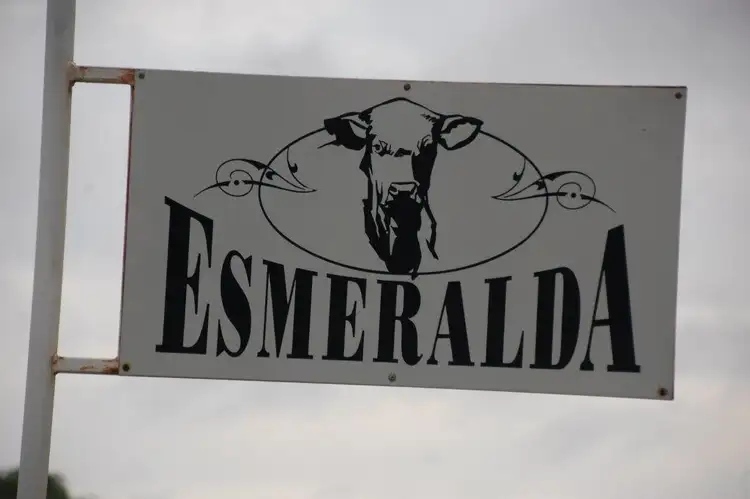 Sixth view of Homely rural property listing, Address available on request