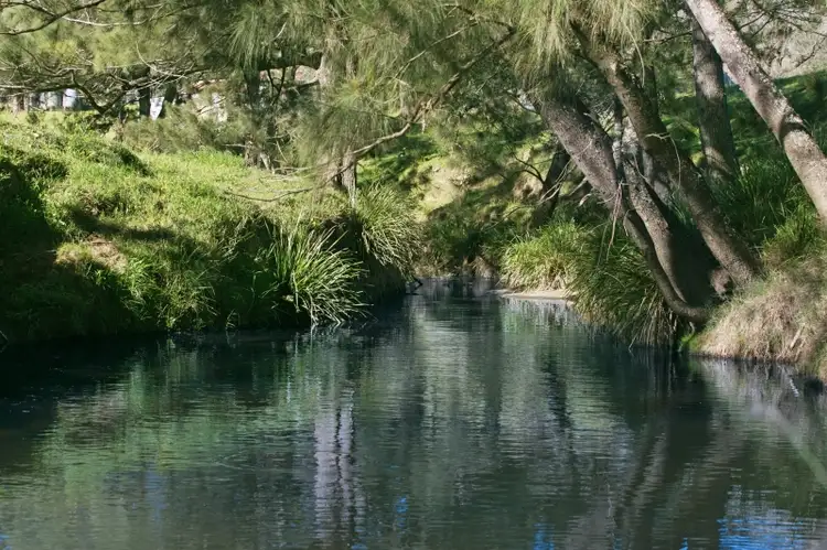 Chads Road Chads Creek Rd, Gresford NSW 2311