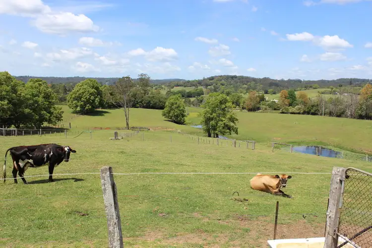 Third view of Homely rural property listing, 990 Stewarts River Road, Lorne NSW 2439