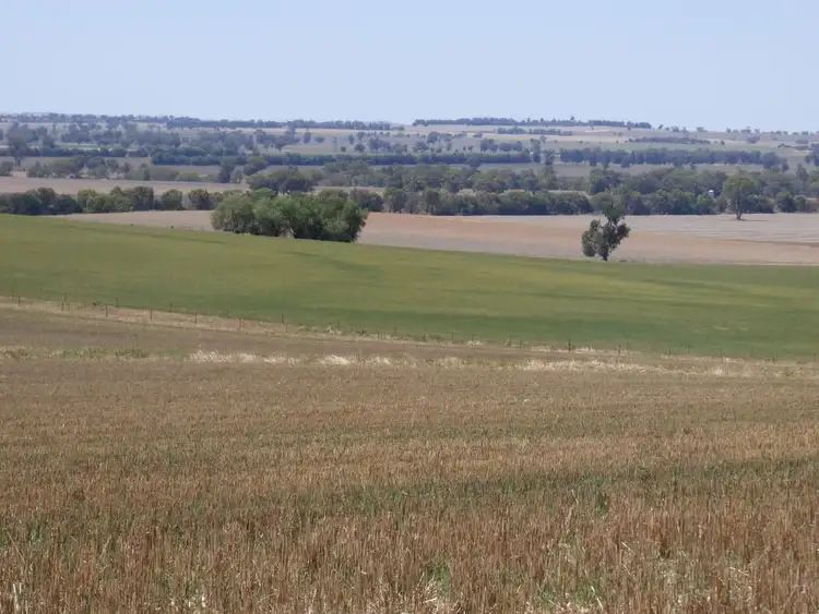 Fourth view of Homely rural property listing, 135 NEWMANS LANE, Grenfell NSW 2810