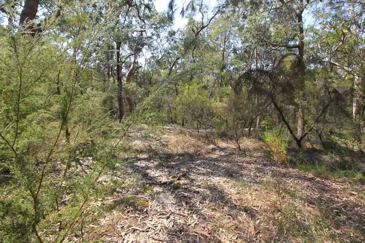 Sixth view of Homely land listing, 629-643 Halcrows Road, Cattai NSW 2756