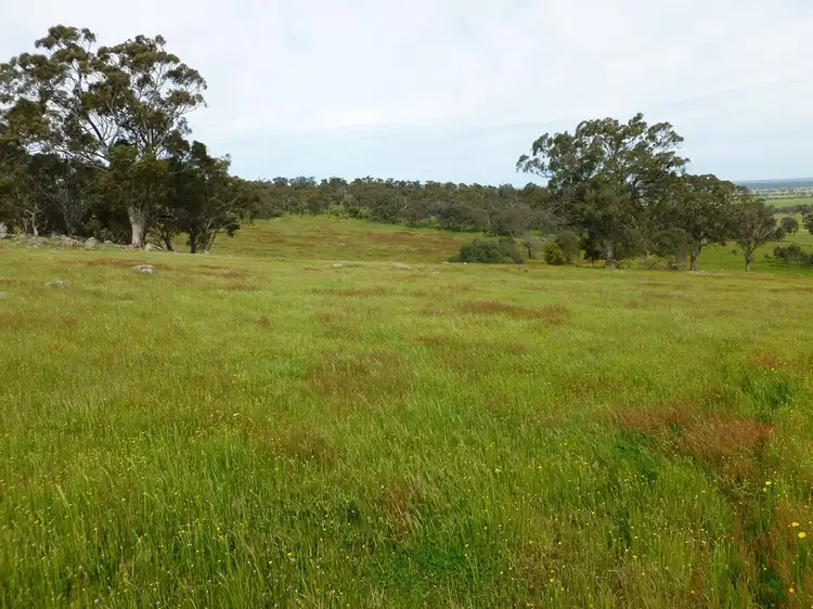 Fifth view of Homely rural property listing, 116 Moores Bridge Road, Springhurst VIC 3682