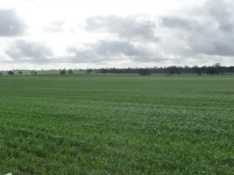 Fifth view of Homely rural property listing, # Dow Wells Road, Nhill VIC 3418