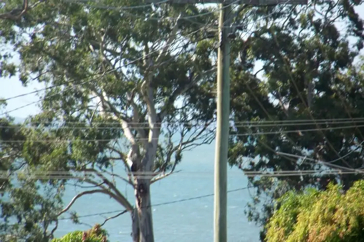 Second view of Homely land listing, 15 SHELLY, Lamb Island QLD 4184